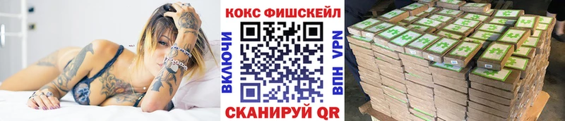 купить наркотики цена  Бодайбо  Cocaine Fish Scale 