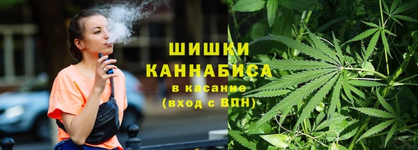 амф Арсеньев
