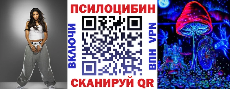 Галлюциногенные грибы Psilocybe  Бодайбо 